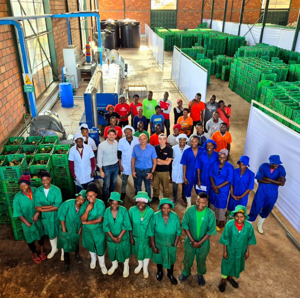 Lavorazione e filiera